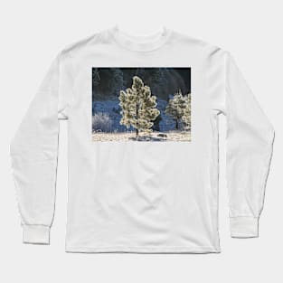 Winter Glory Long Sleeve T-Shirt